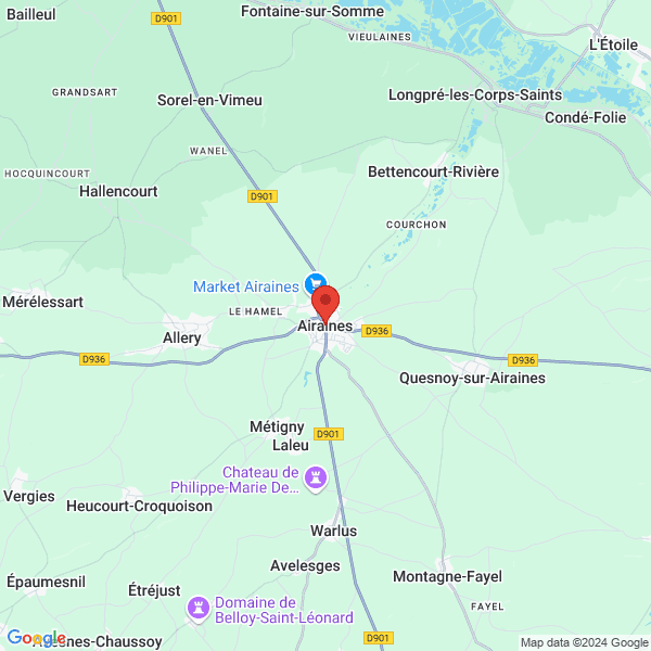 google map