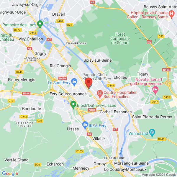 google map