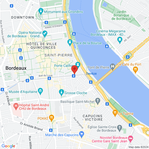 google map