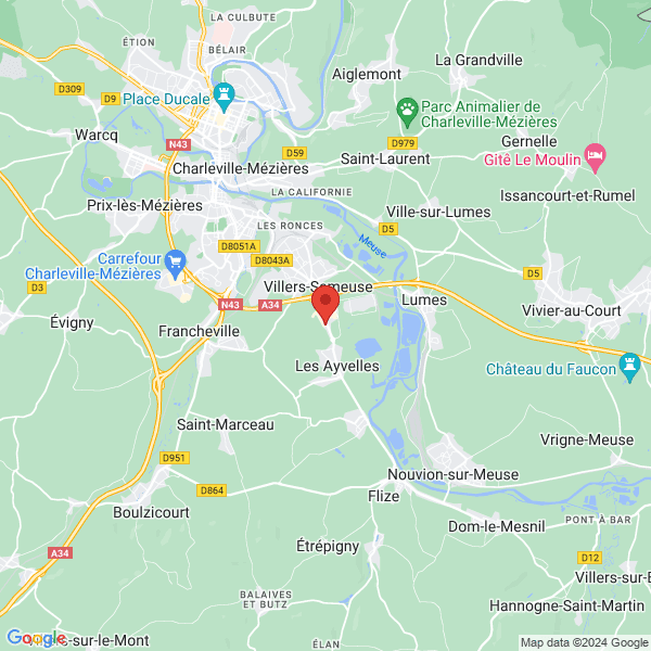 google map