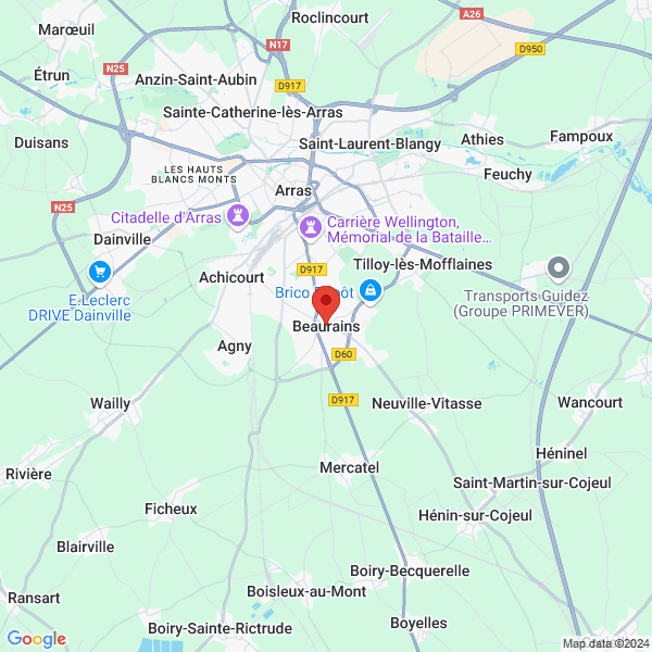 google map