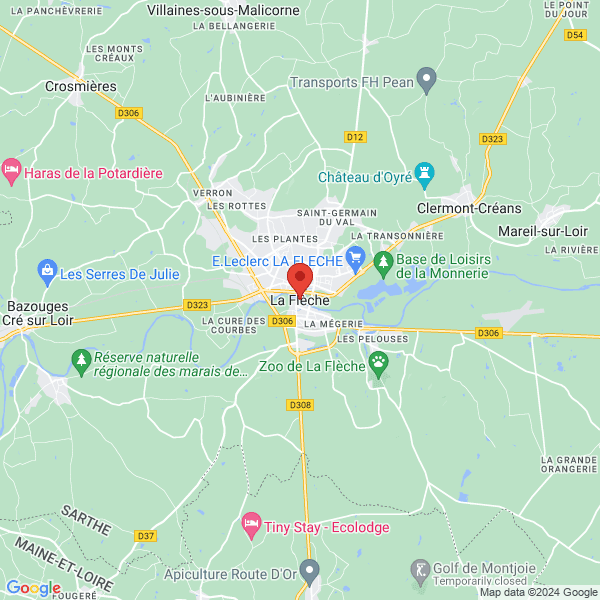 google map