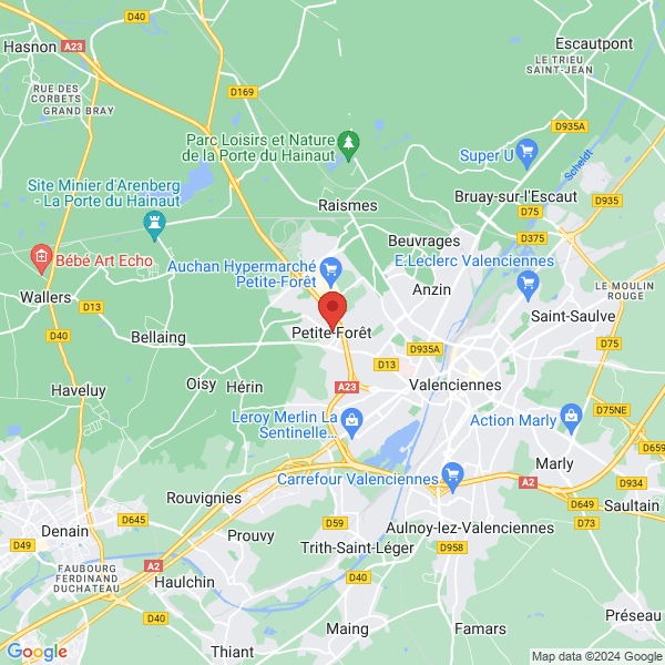 google map