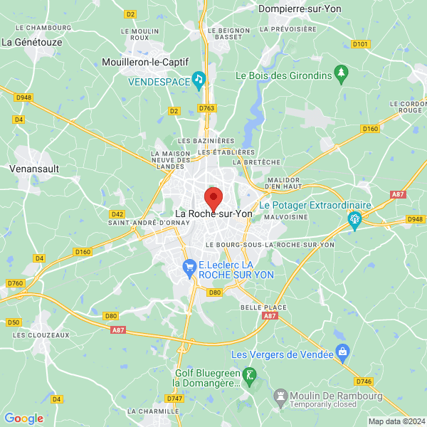 google map