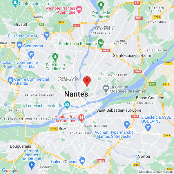 google map
