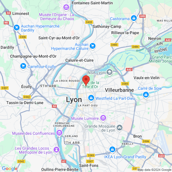 Lyon - Google map