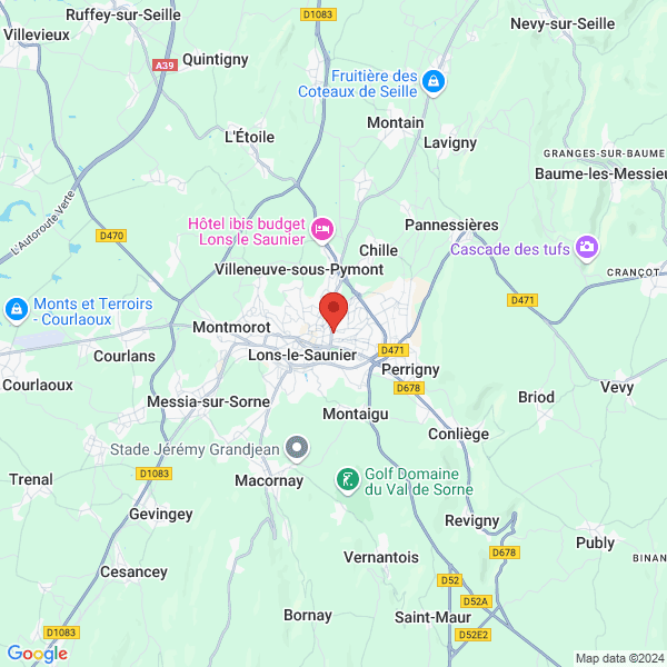 google map