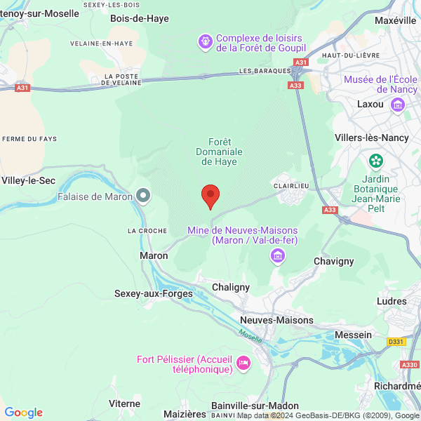 google map