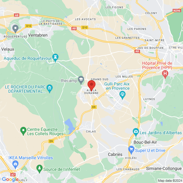 google map