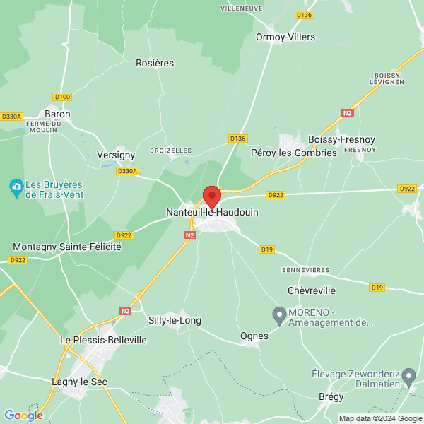google map