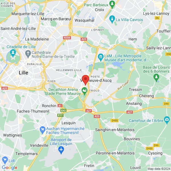 google map