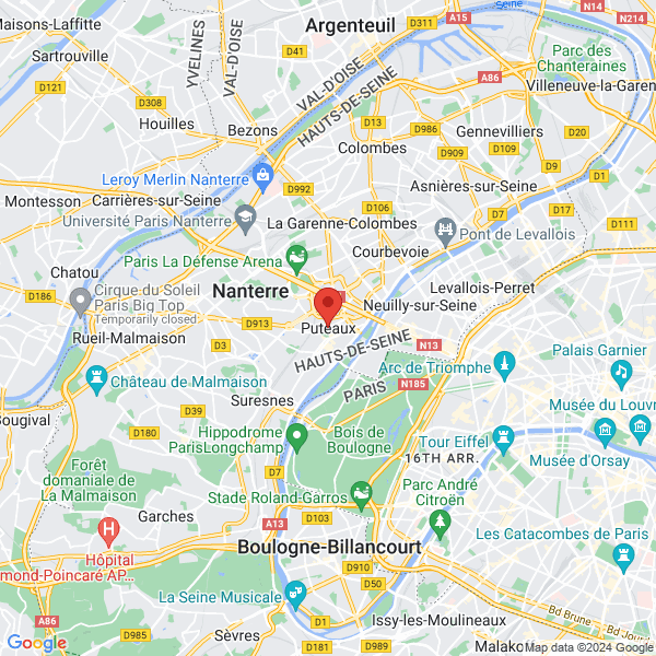 google map