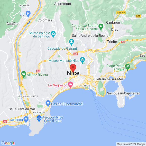 google map