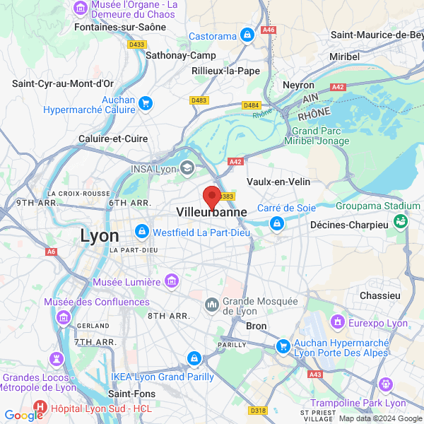 google map