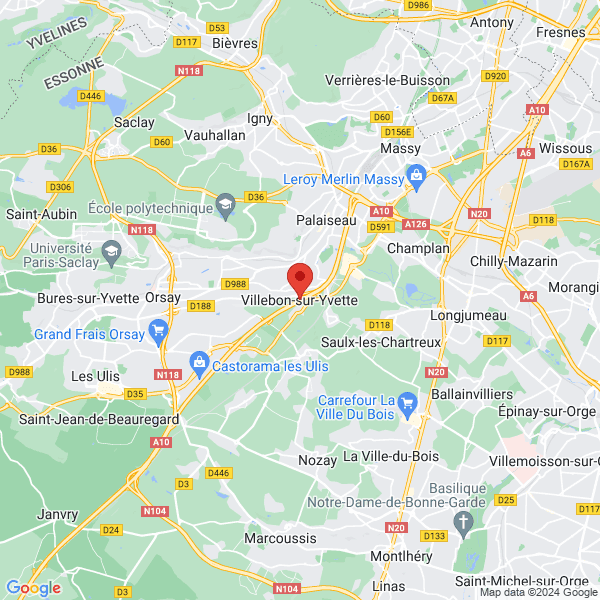 google map