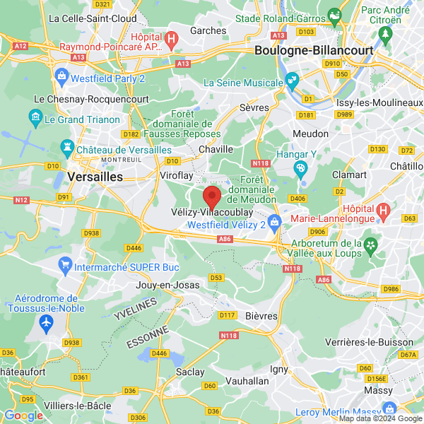 google map