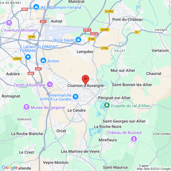 google map