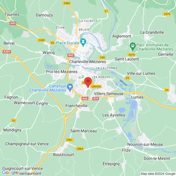 google map