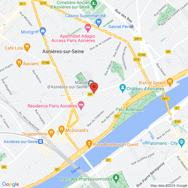 google map