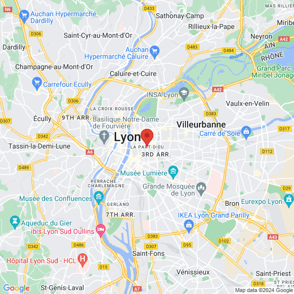 google map