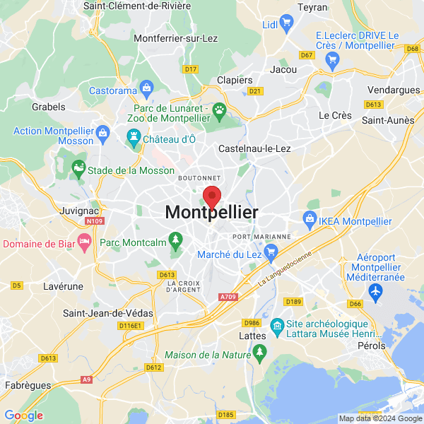 google map