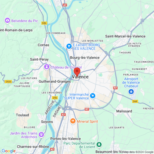 google map