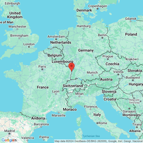 google map
