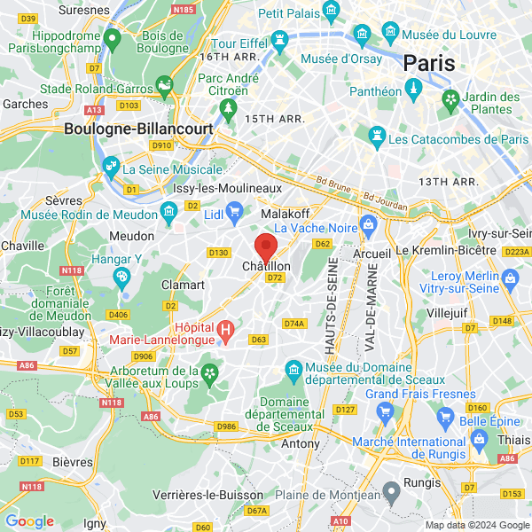 google map