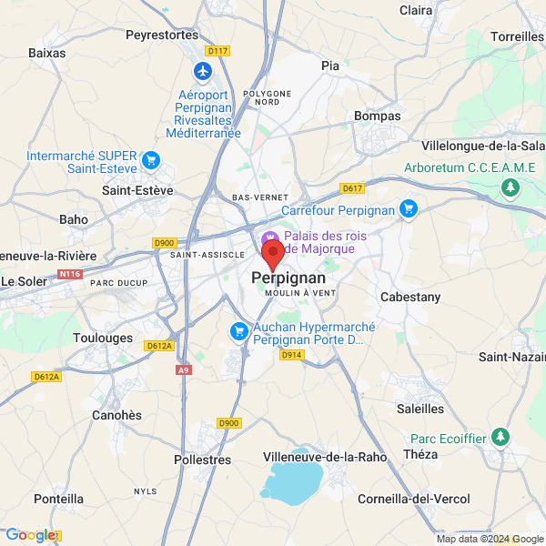 google map