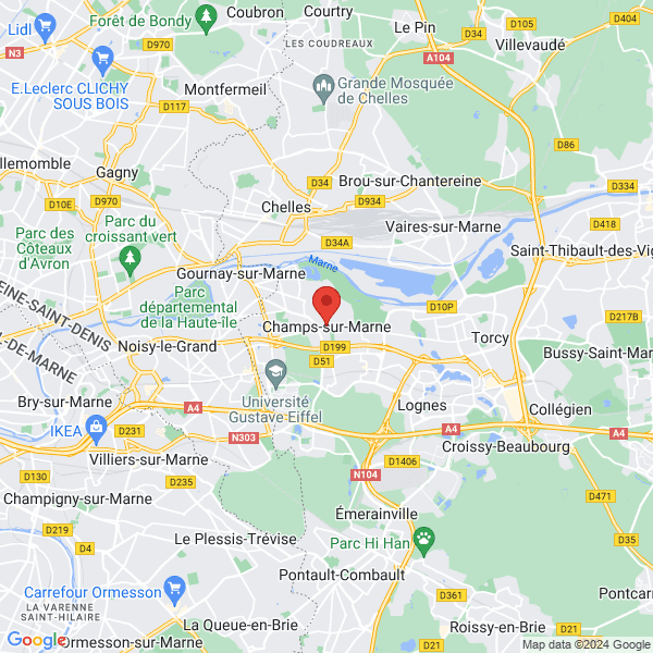 google map