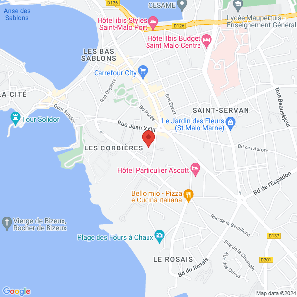 google map