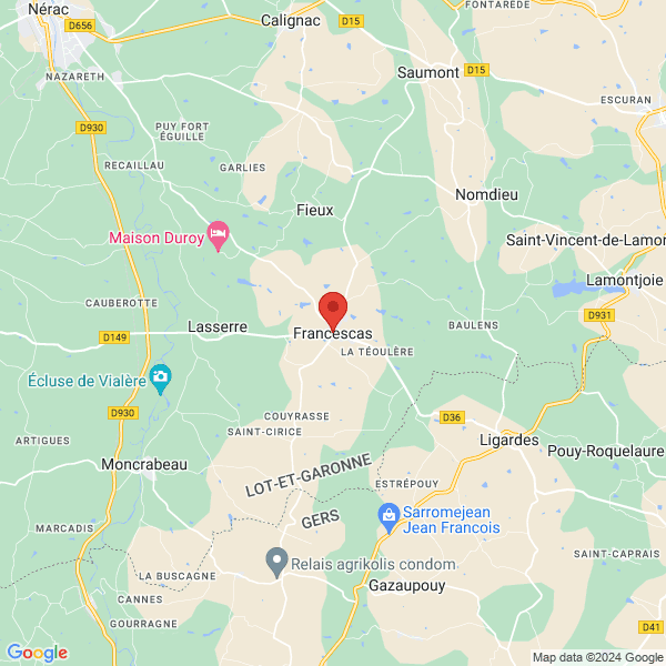 google map