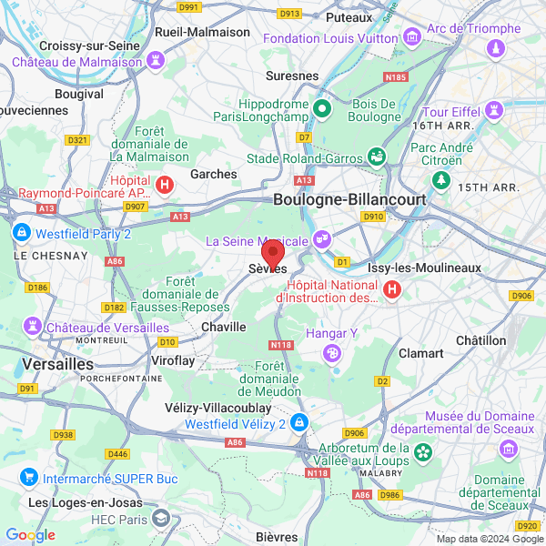 google map