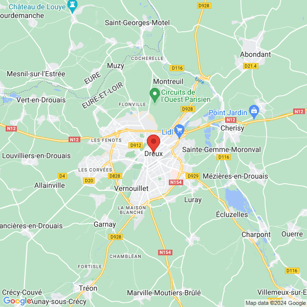 google map