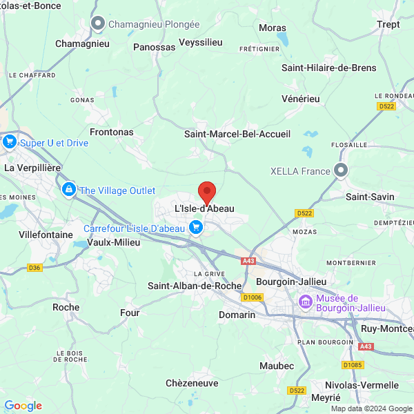 google map