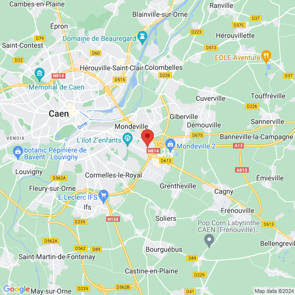 google map