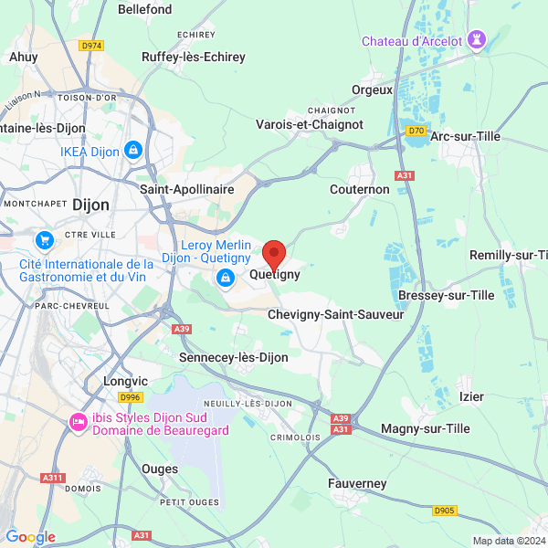 google map