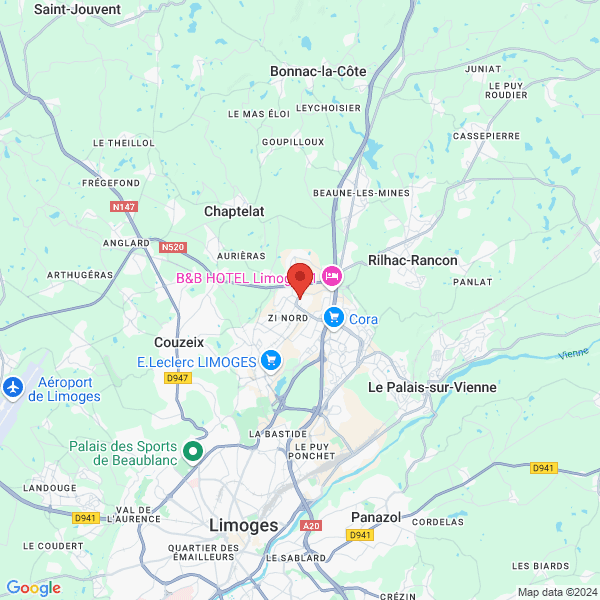 google map