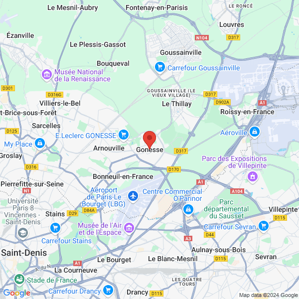 google map