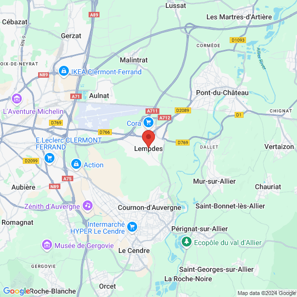 google map
