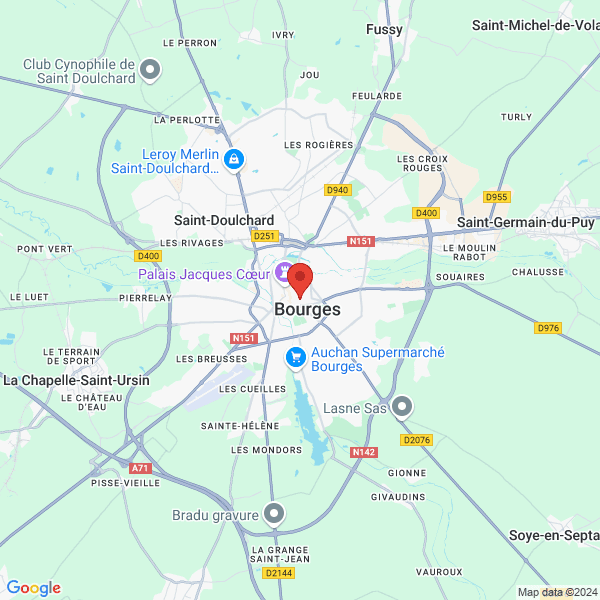 google map