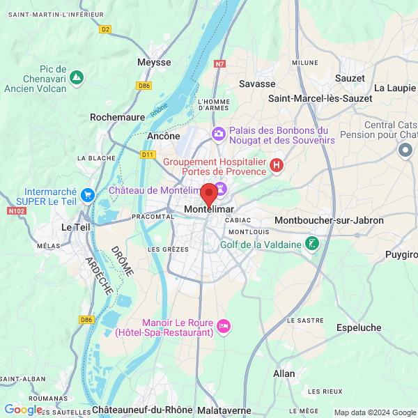google map