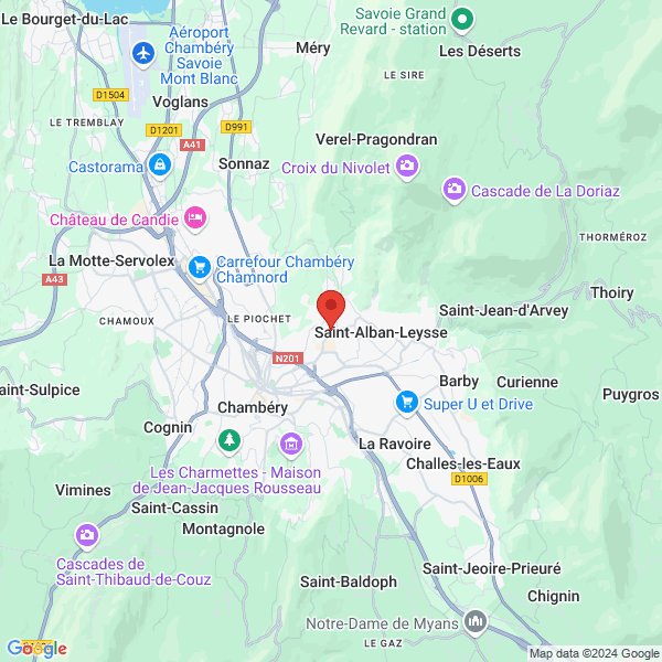 google map