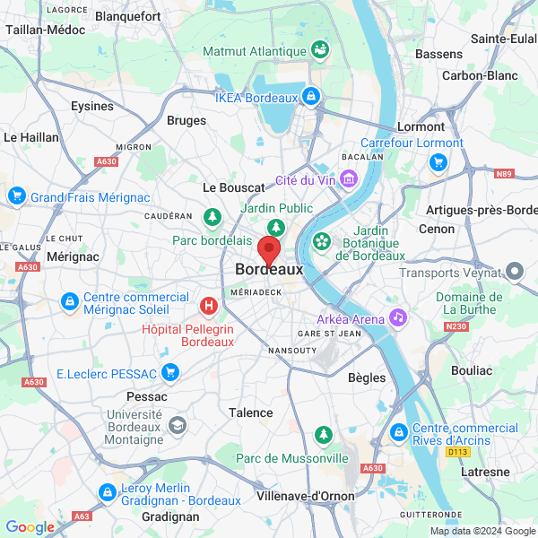 google map