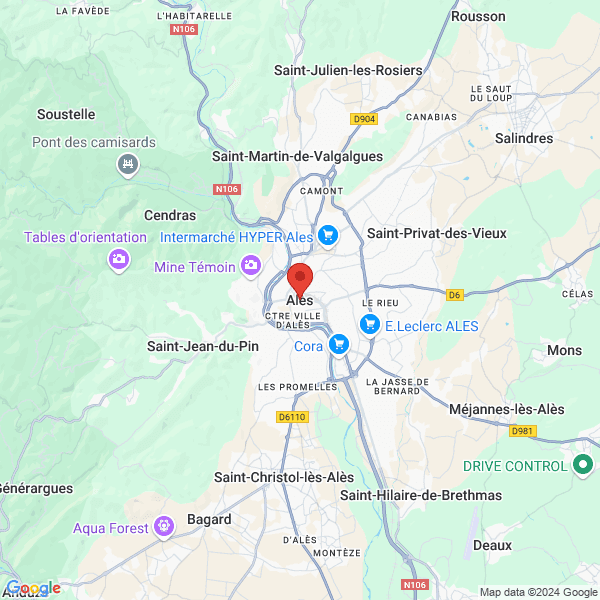 google map