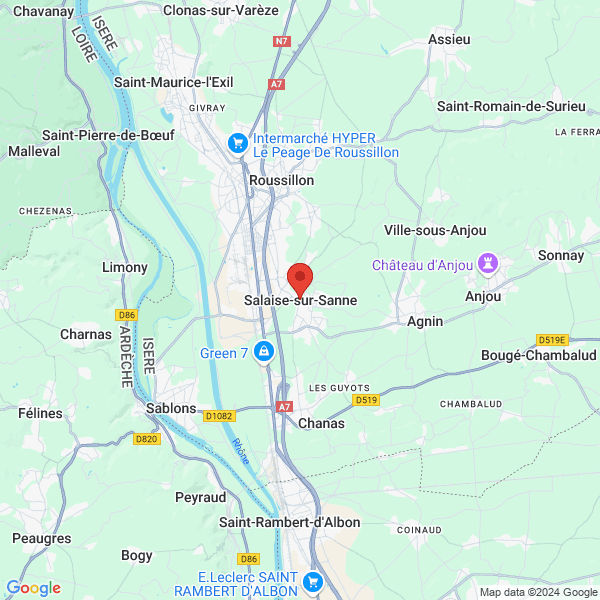 google map