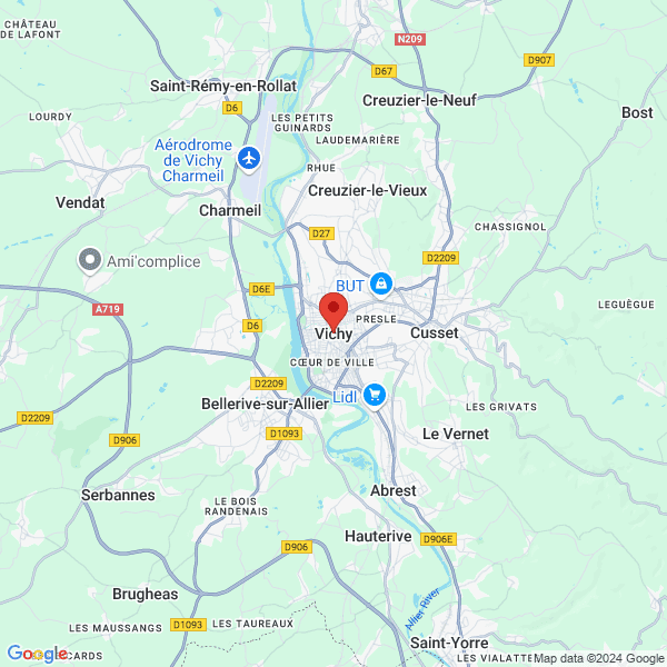google map