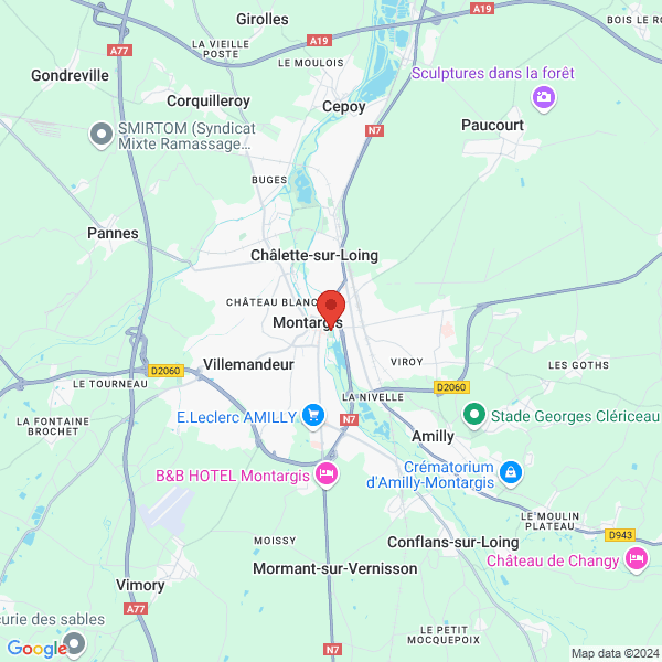 google map