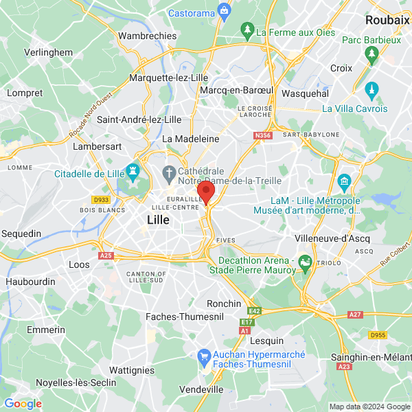 Lille - Google map