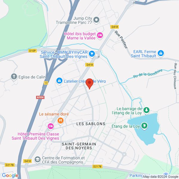 google map